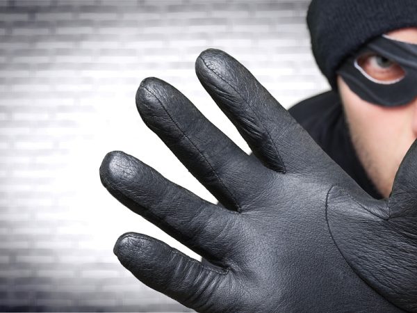 Thief Stealing Burglar Identity Burglary Crime Criminal